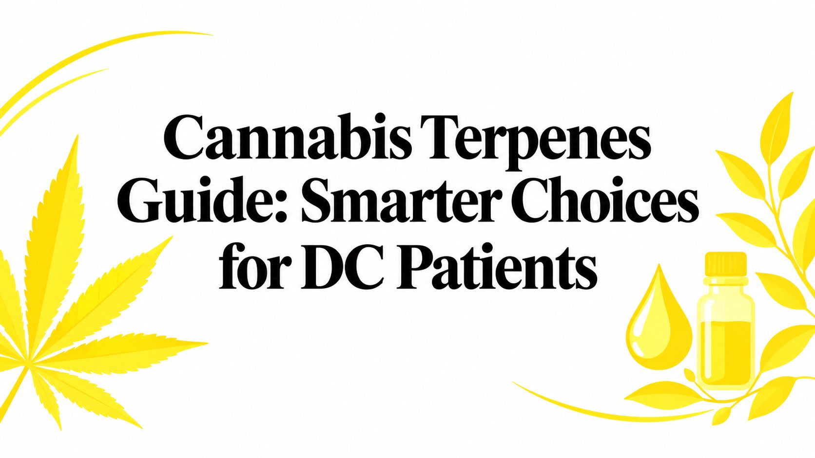 Cannabis Terpenes Guide: Smarter Choices for DC Patients
