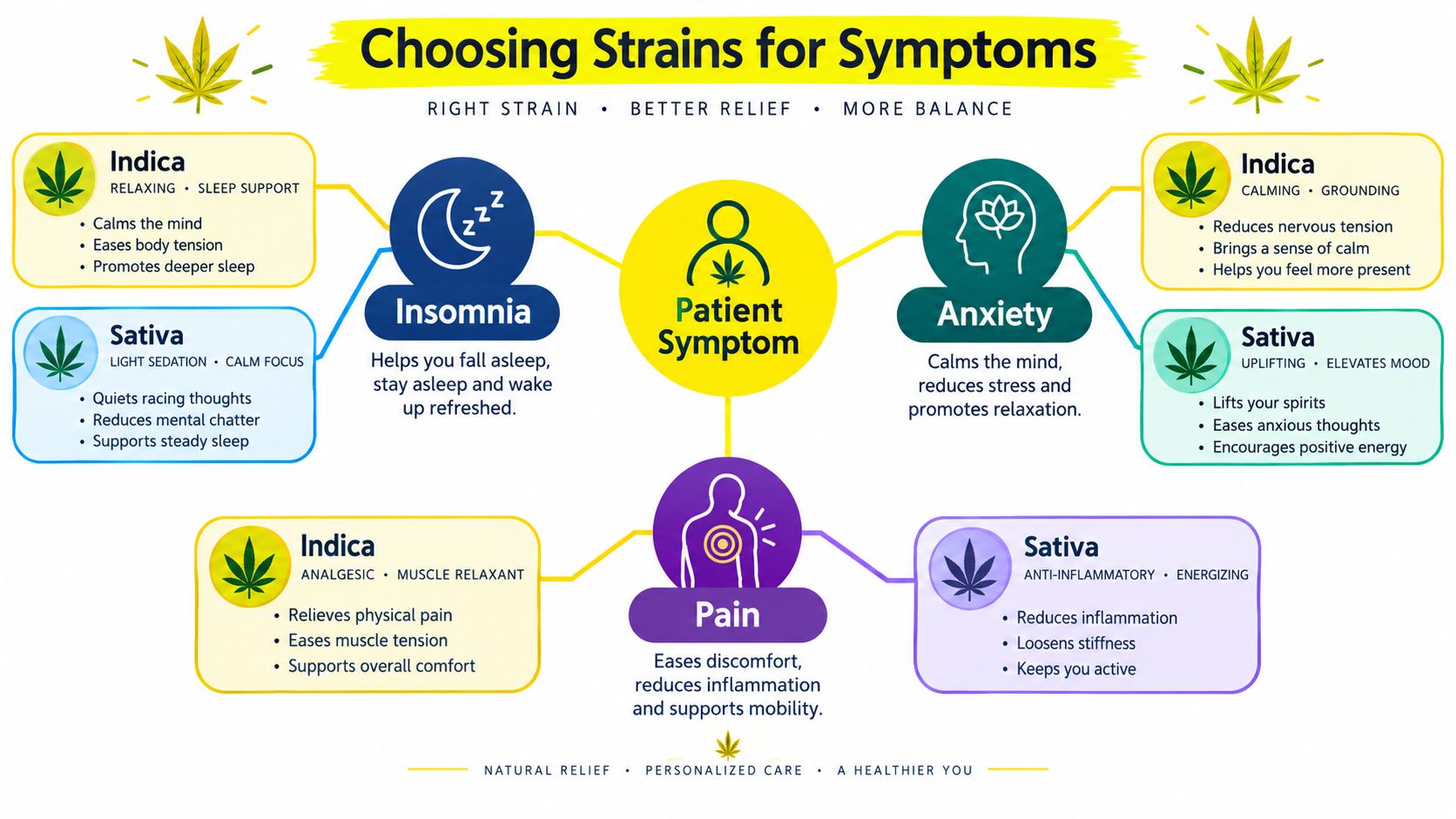 An infographic titled Choosing Strains for Symptoms showing how Indica and Sativa cannabis strains address insomnia, anxiety, and pain.