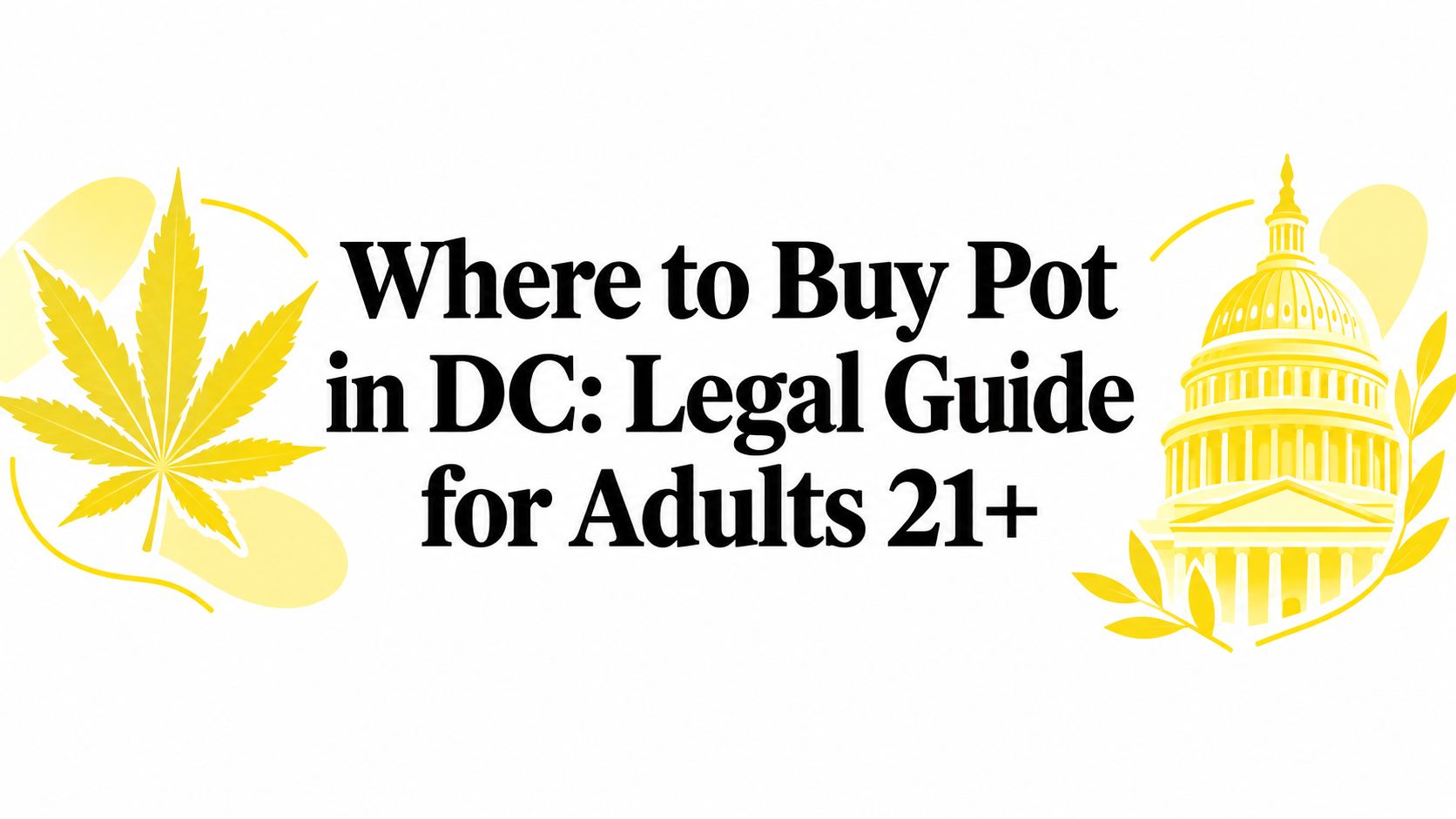 Where to Buy Pot in DC: Legal Guide for Adults 21+
