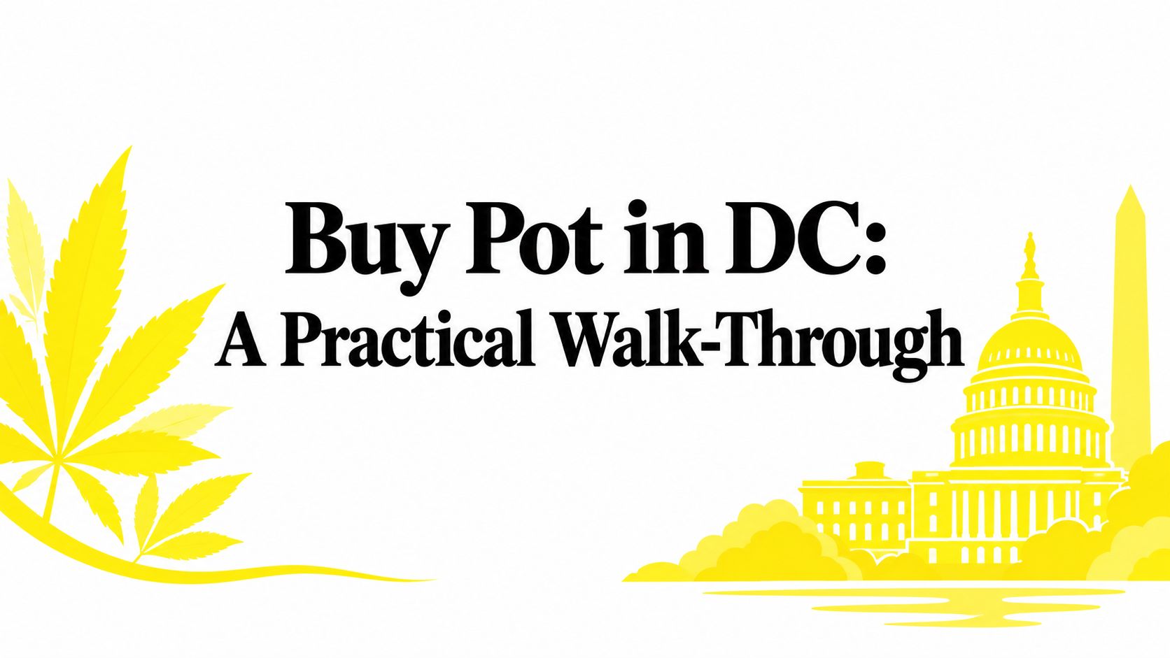 Buy Pot in DC: A Practical Walk-Through