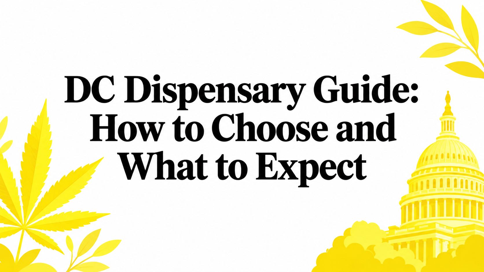 DC Dispensary Guide: How to Choose and What to Expect