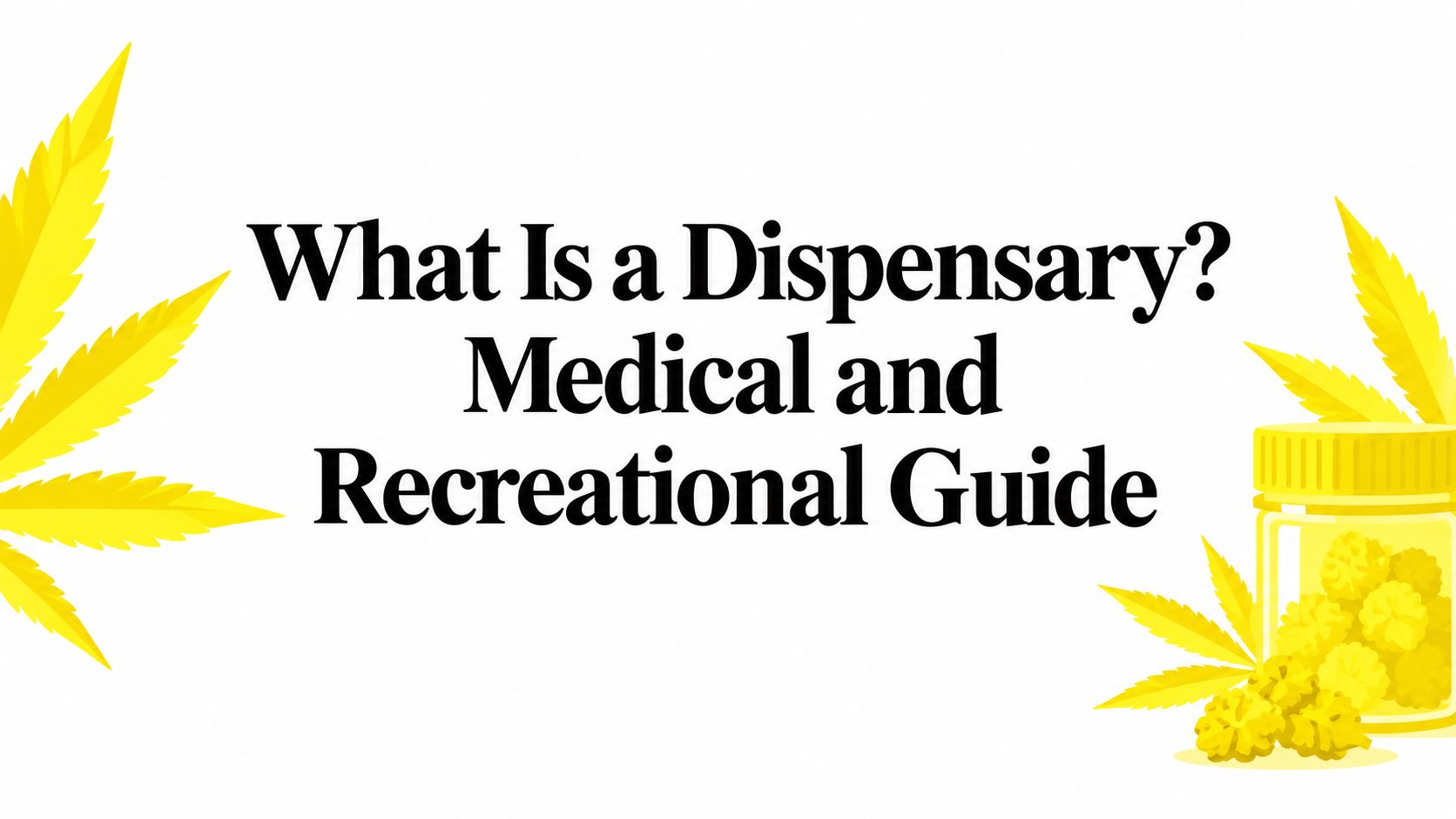 What Is a Dispensary? Medical and Recreational Guide