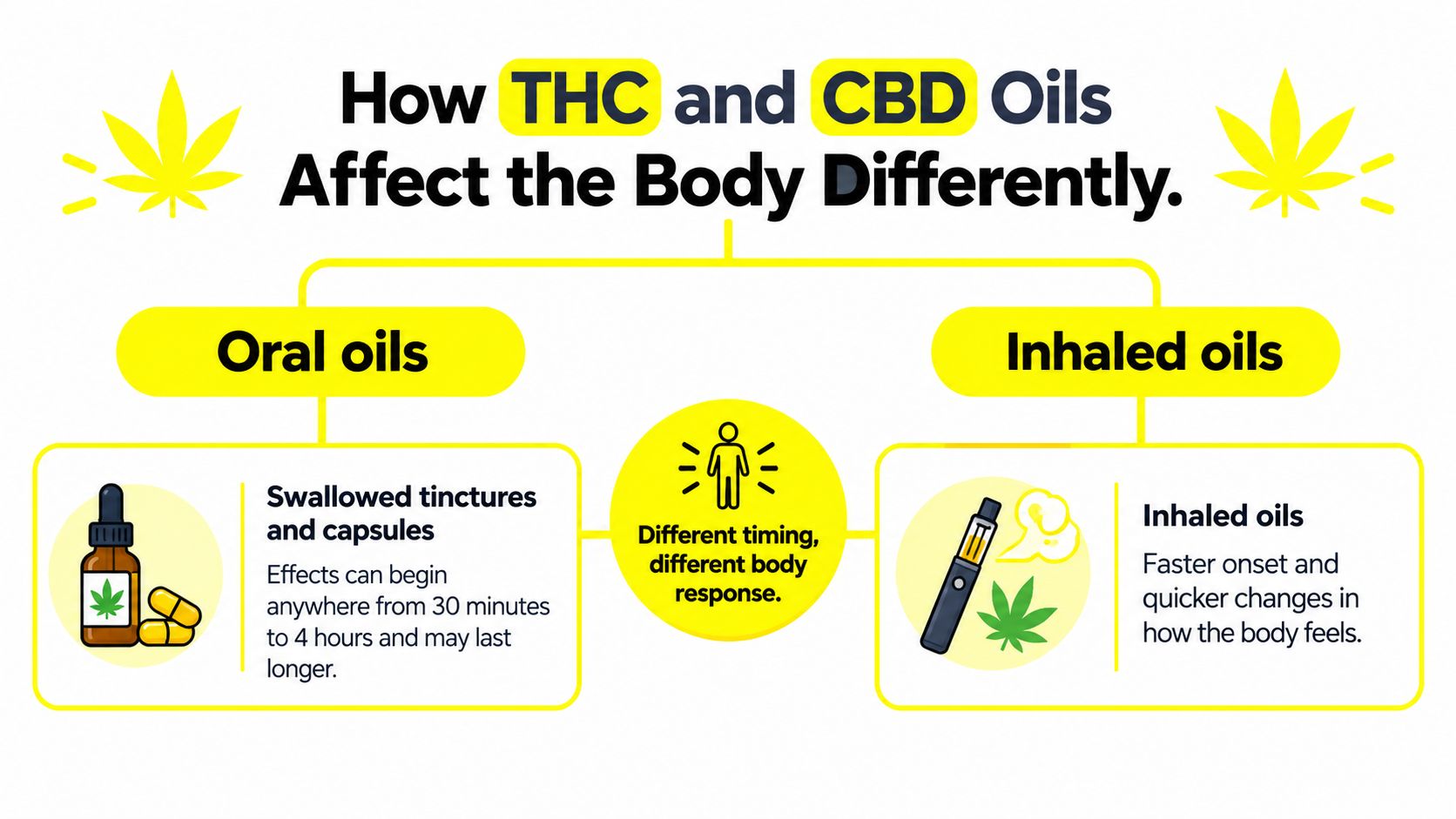 An infographic comparing the timing and bodily effects of oral versus inhaled cannabis oils.