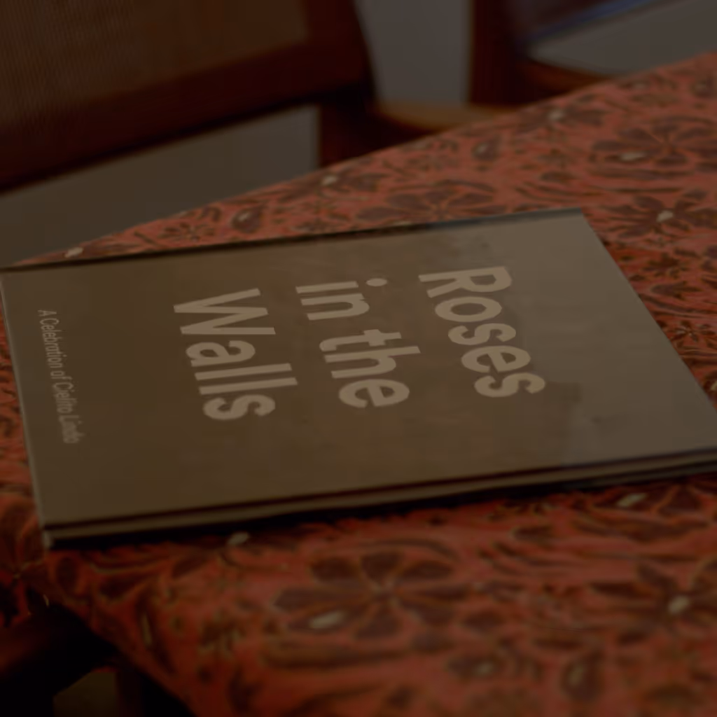 Close-up of a book titled “Roses in the Walls” resting on a red patterned fabric surface, photographed at an angle with warm, softly lit surroundings.