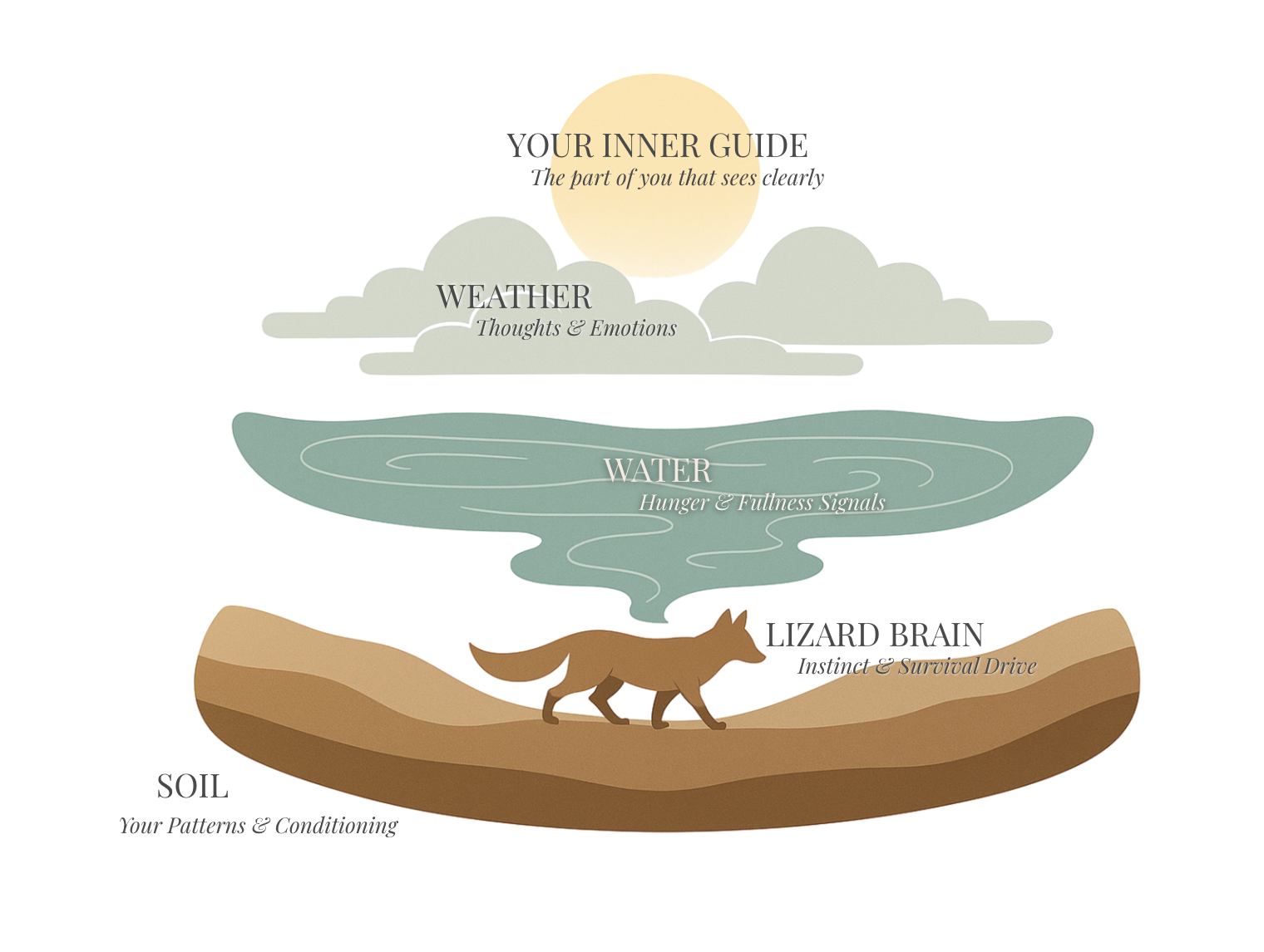 sun as inner guide weather as thoughts and emotions, water as hunger and fullness signals, soil as patterns and conditioning represented muted graphics
