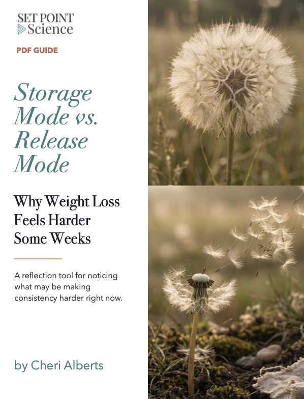 Storage Mode vs Release Mode PDF Guide cover