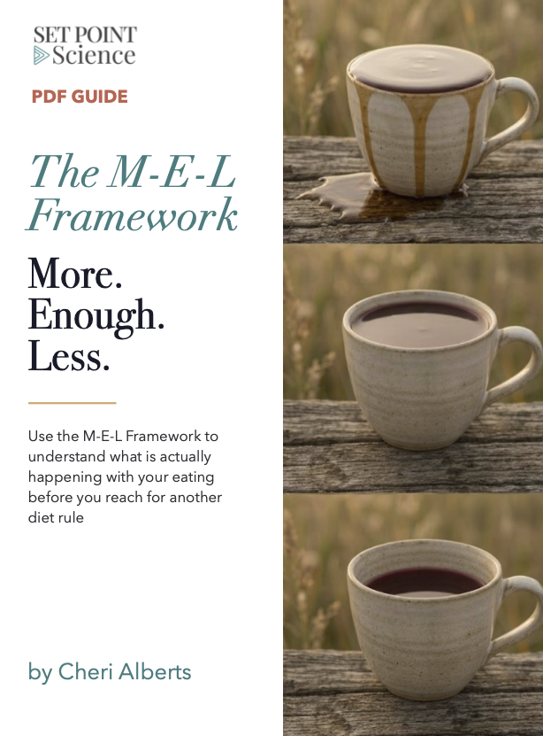 The M-E-L Framework PDF Guide cover