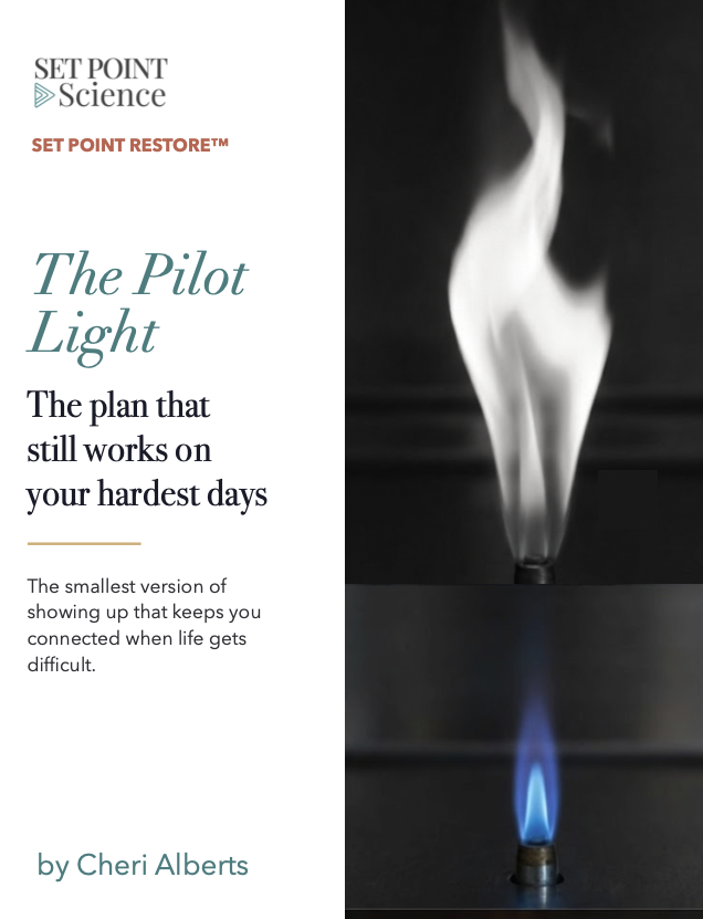 The Pilot Light PDF Guide cover