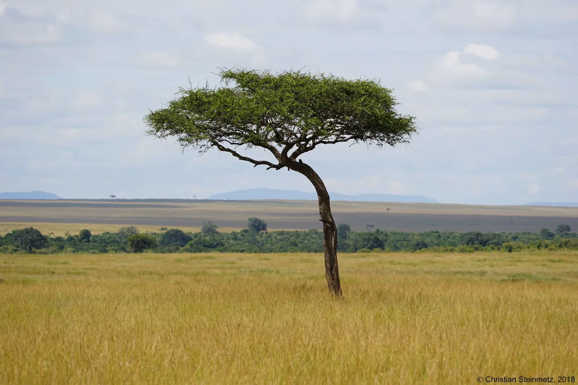 Kenia - das Land, wo sich Himmel und Erde küssen
