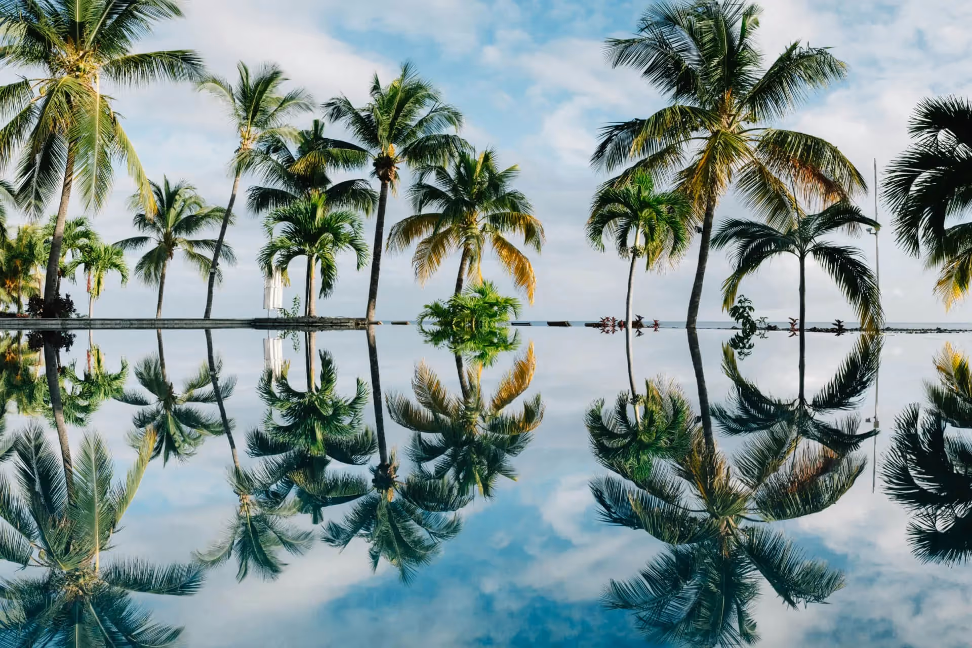 Blick auf Wasser, welches die dahinterstehenden Palmen spiegelt