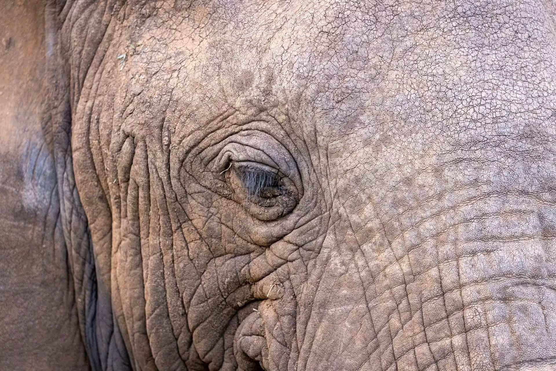 Reisebericht Kenia - Safari und Strand