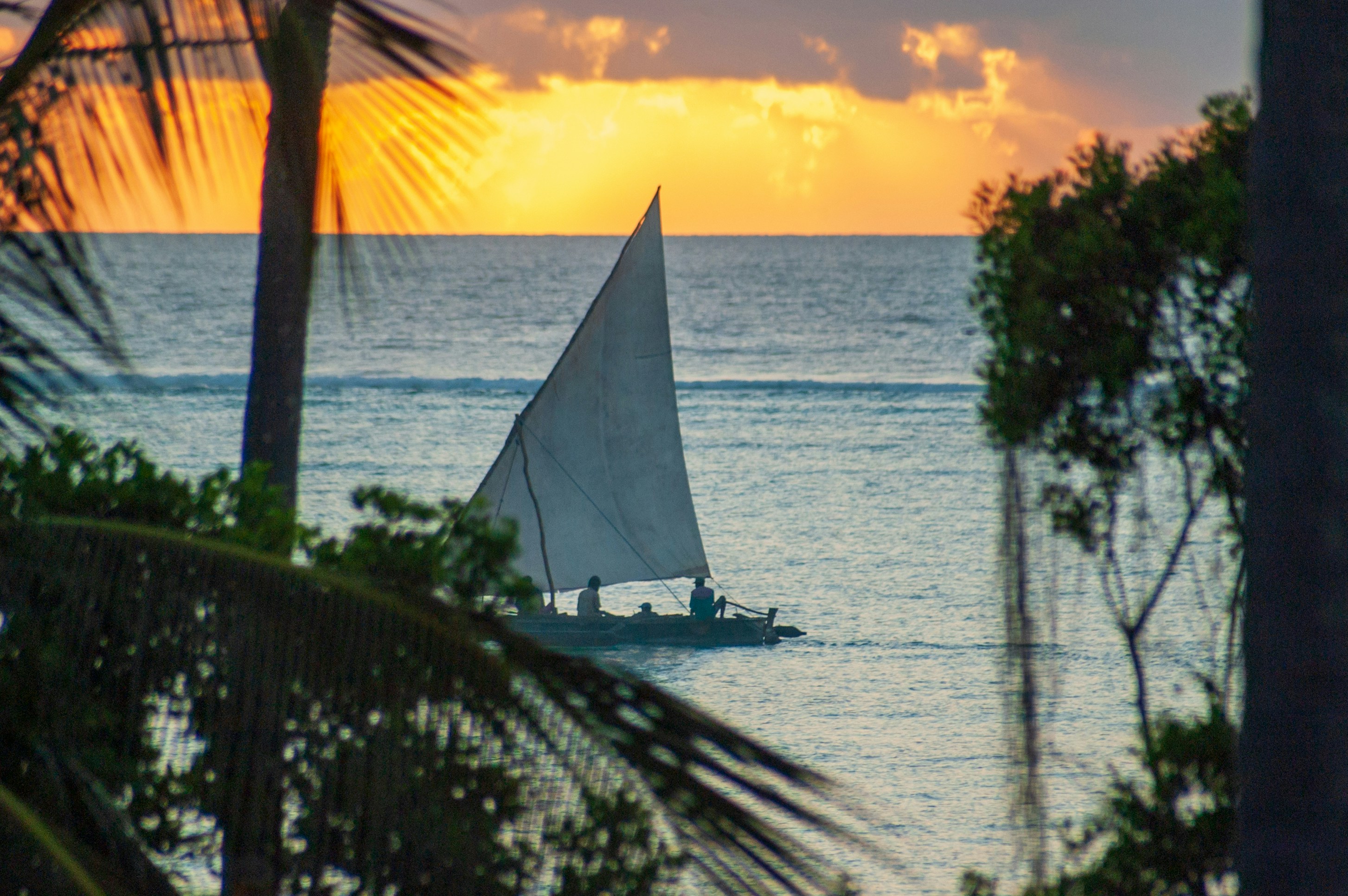 Ein Segelboot auf dem Meer. Im Vordergrund sind die Blätter von Bäumen und Palmen zu sehen. Im Hintergrund ein Sonnenuntergang.