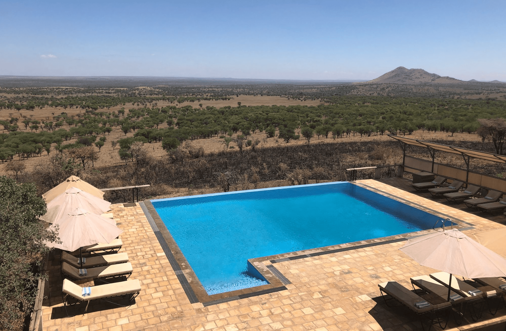 Blick auf einen Hotel-Pool. Sonnenliegen und Sonnenschirme stehen darum herum.