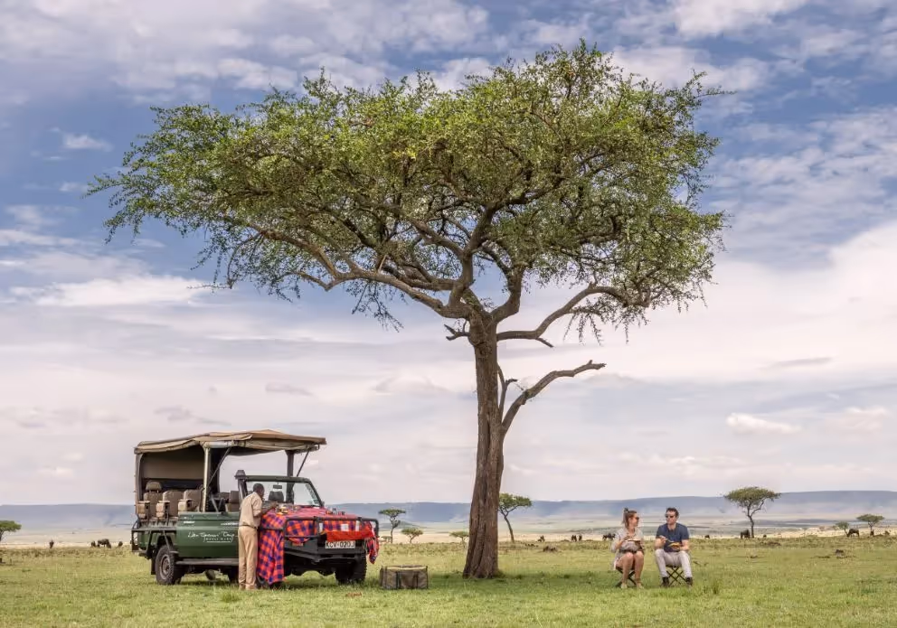 Ein Safari Fahrzeug neben einem Baum