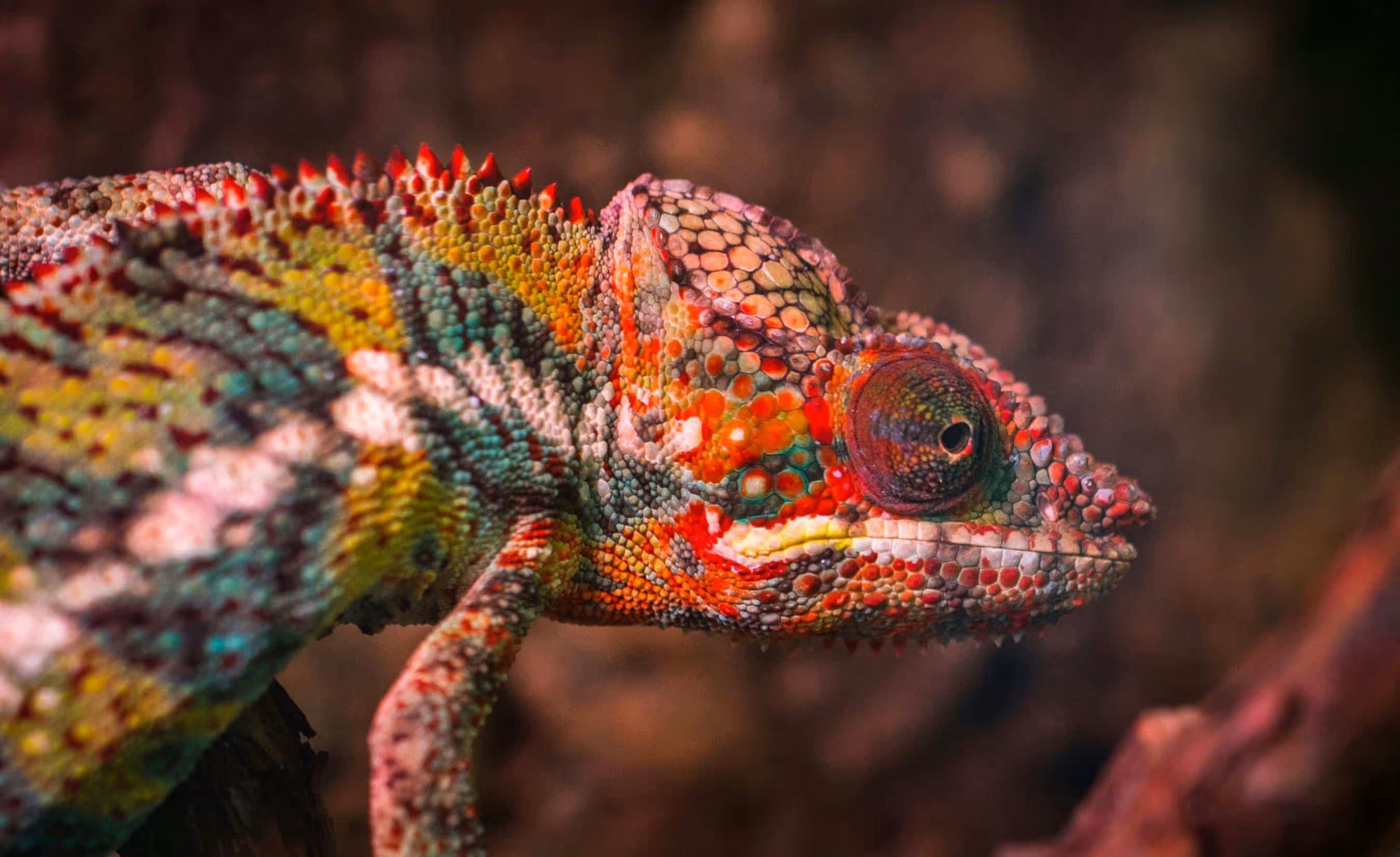 Madagaskar Einreise: Visum, Impfungen & Reisetipps von Severin Travel