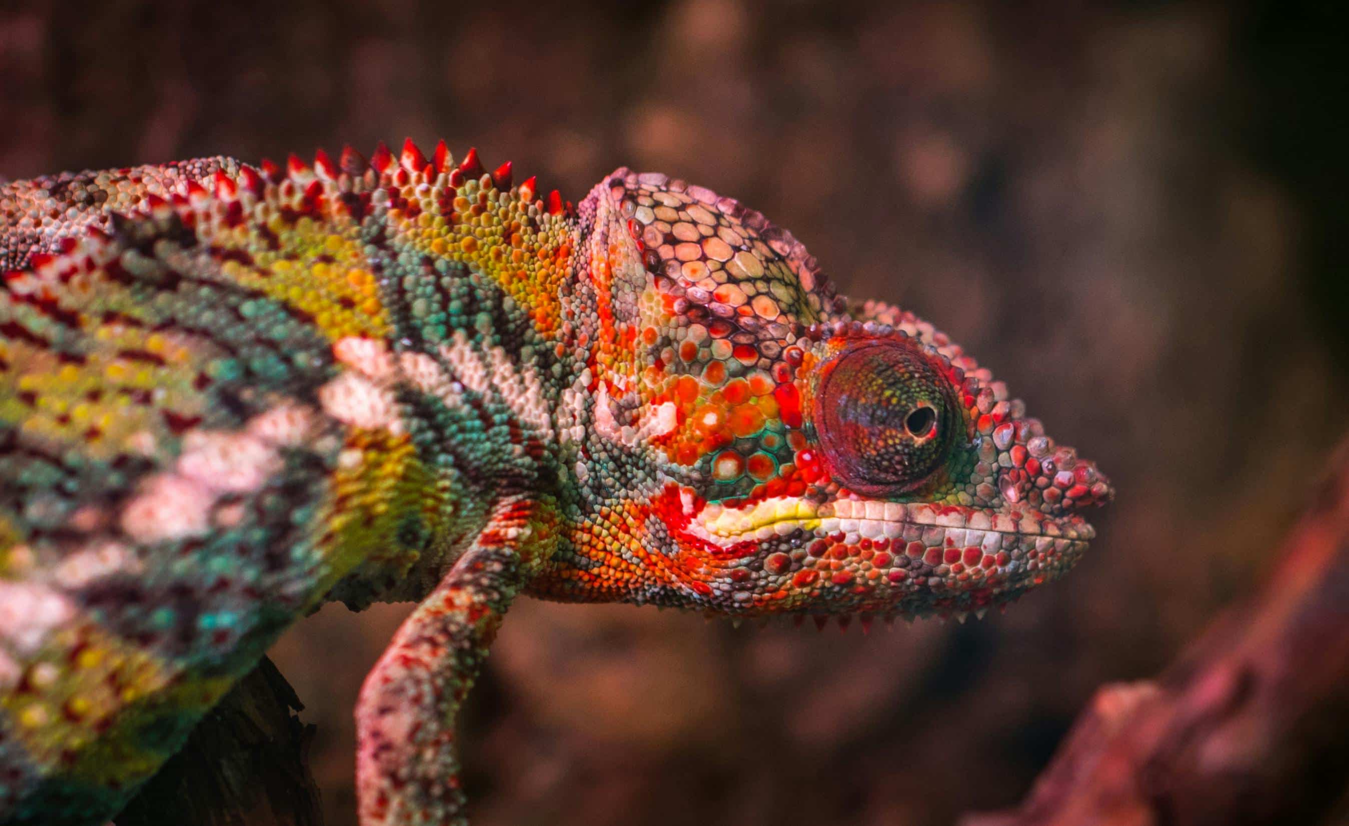 Madagaskar Einreise: Visum, Impfungen & Reisetipps von Severin Travel