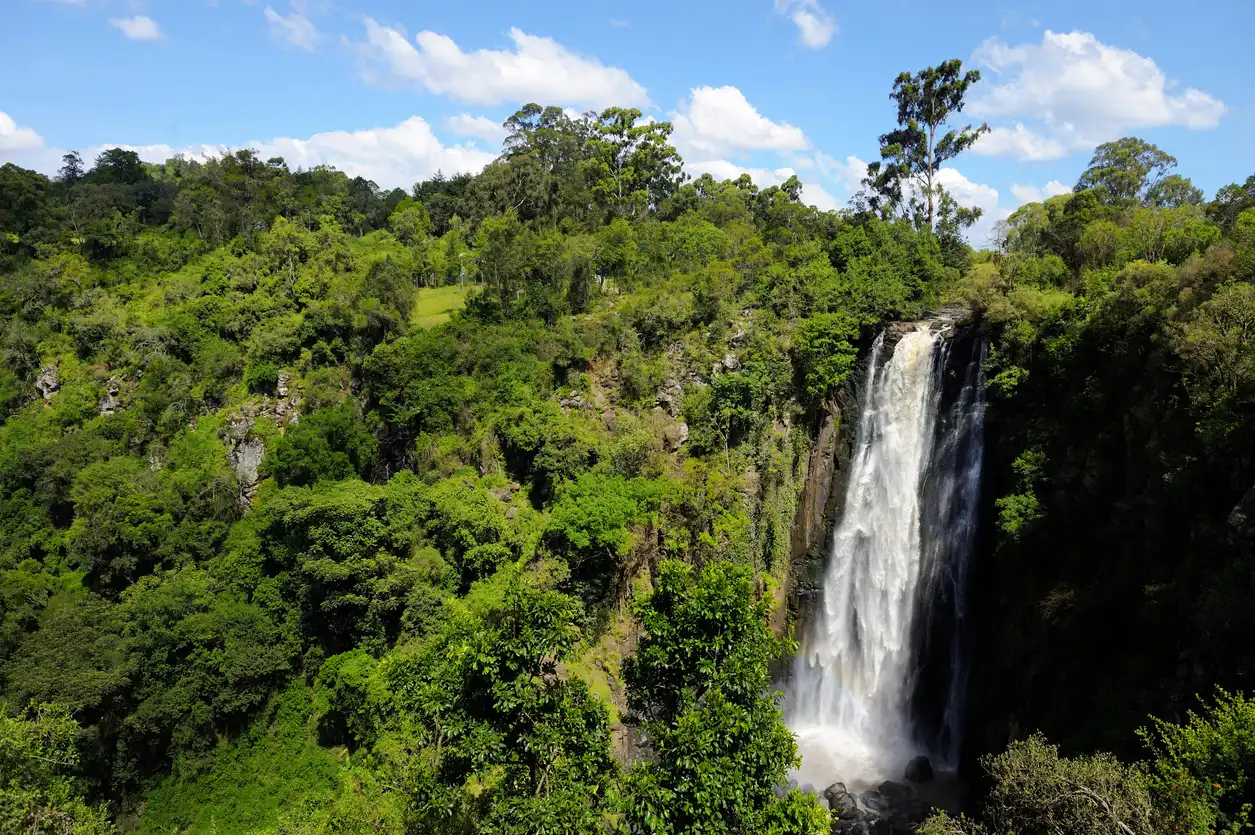 Blick auf einen Wasserfall inmitten grüner Natur