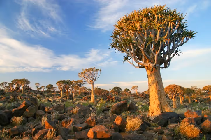 Reisebericht Namibia: Eine Rundreise durch das südliche Afrika
