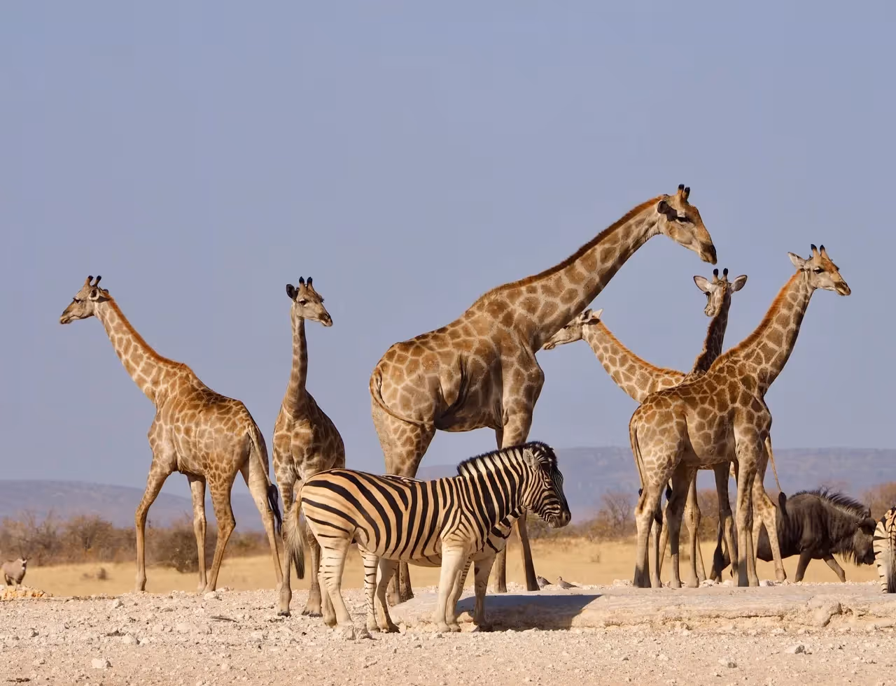 Reisevorbereitung Namibia: Einreise, Impfungen & Packliste