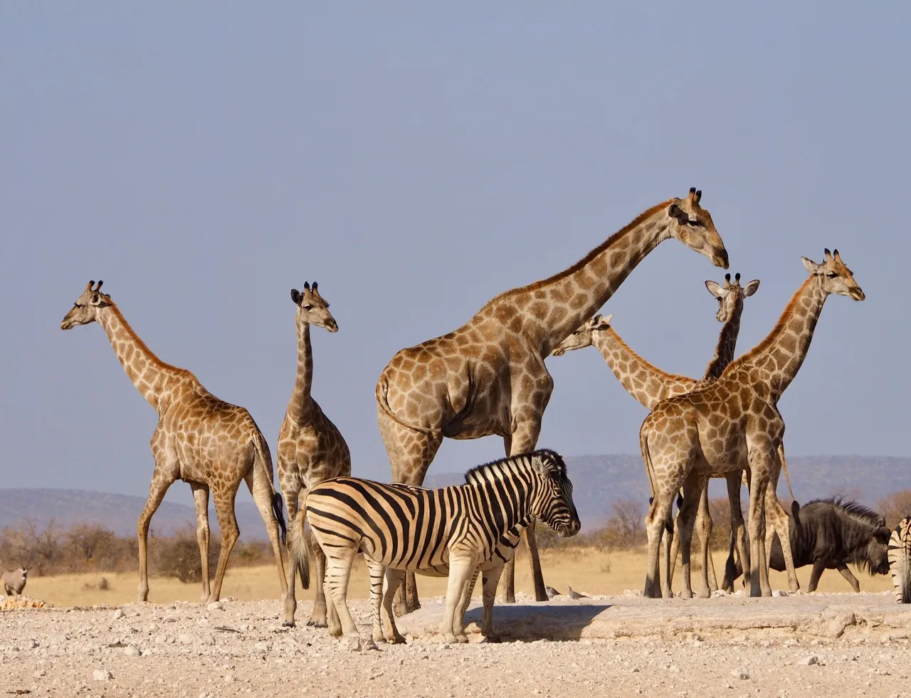 Reisevorbereitung Namibia: Einreise, Impfungen & Packliste