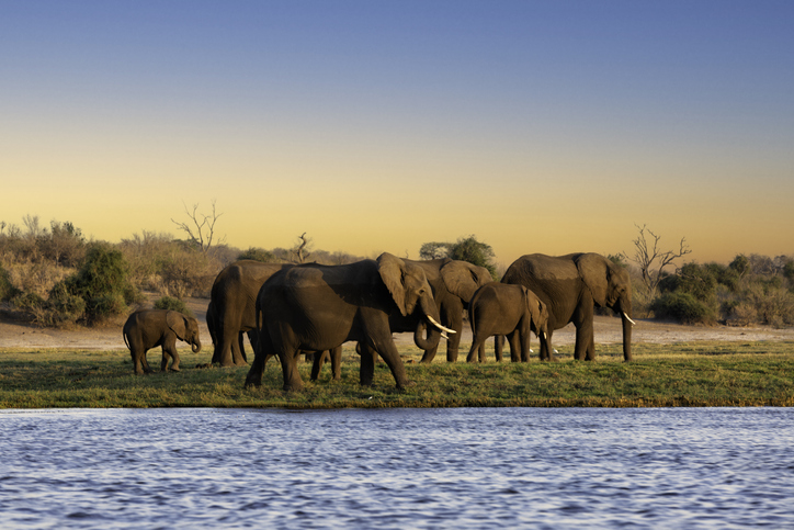 Nachhaltig reisen in Botswana