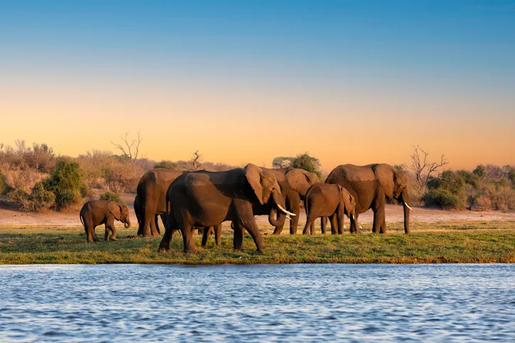Nachhaltig reisen in Botswana