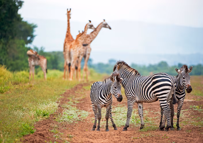 Reisebericht Malawi: die vielfältigsten Reisen