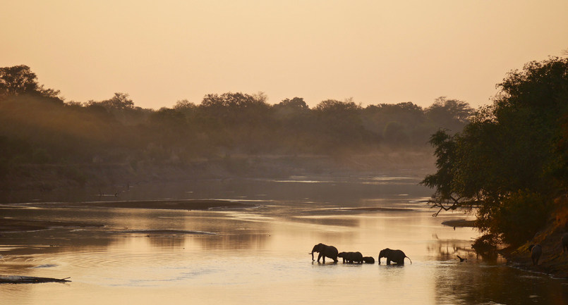 Sambia Sehenswürdigkeiten: Ihr Guide durch die Tierwelt