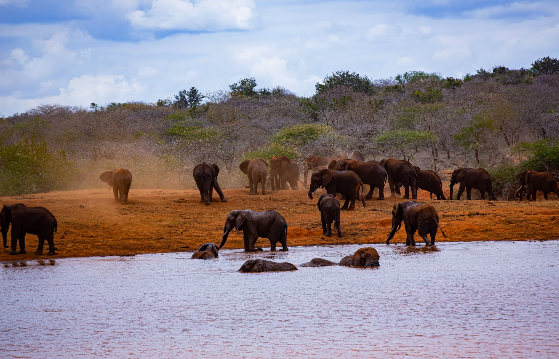 Elefanten im Tsavo East Nationalpark in Kenia