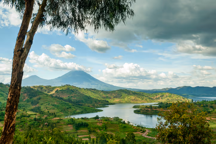 Beste Reisezeit Uganda: Berggorillas und Safaris