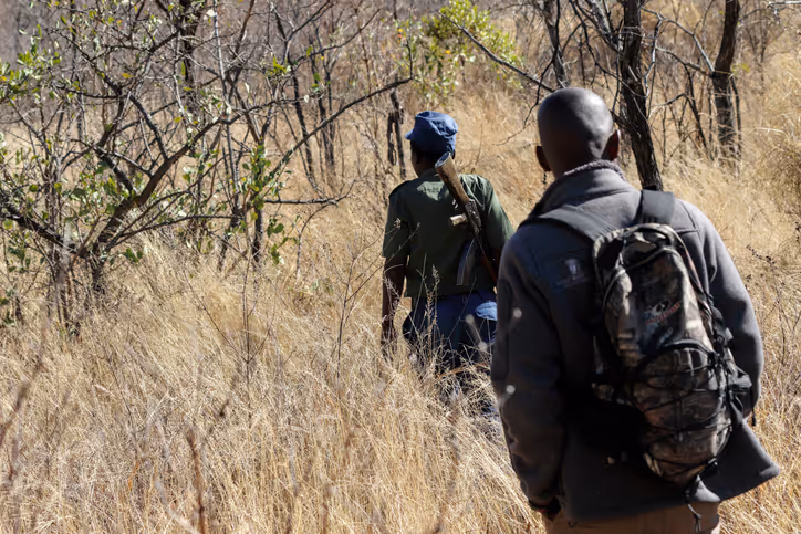 Walking Safaris: Nachhaltig Afrikas Wildnis erleben