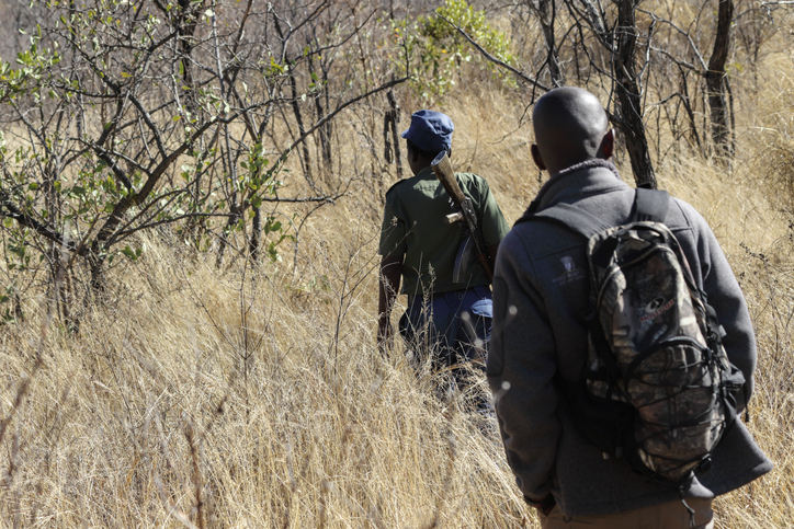 Walking Safaris: Nachhaltig Afrikas Wildnis erleben
