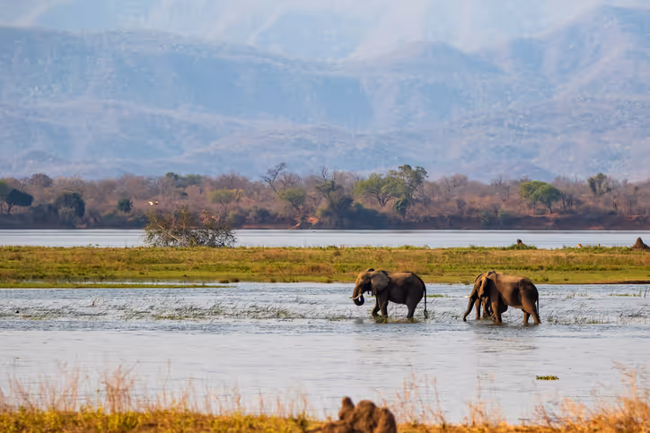 Nationalpark Simbabwe: die schönsten Parks und Highlights