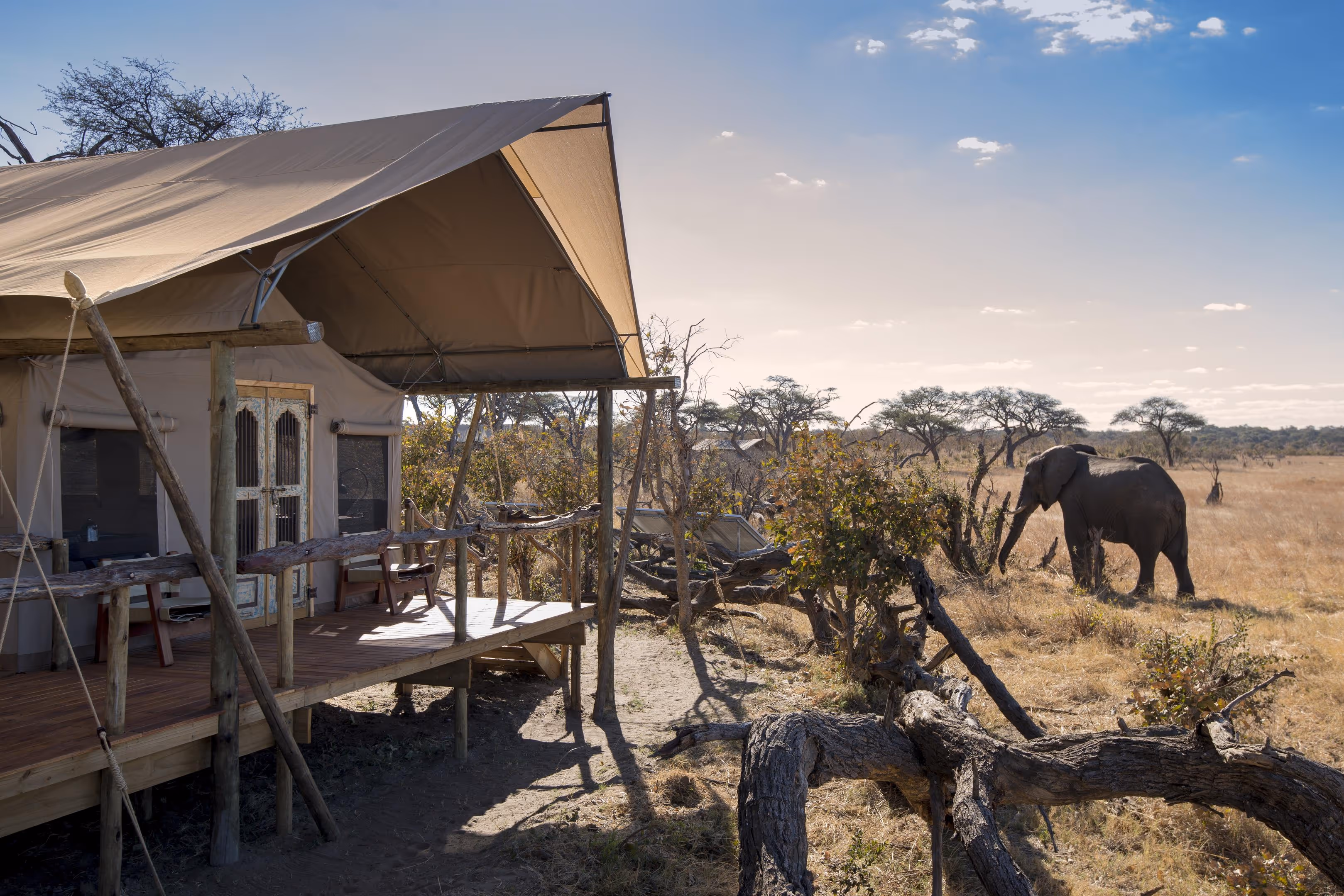 Camps in Zimbabwe: 6 Insider-Tipps & Empfehlungen