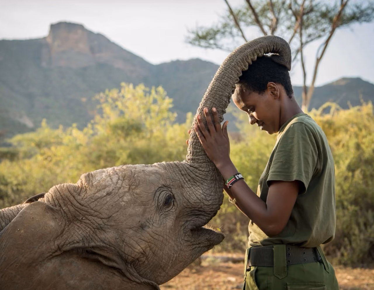 Reteti Elephant Sanctuary: Planen Sie Ihre nachhaltige Safari