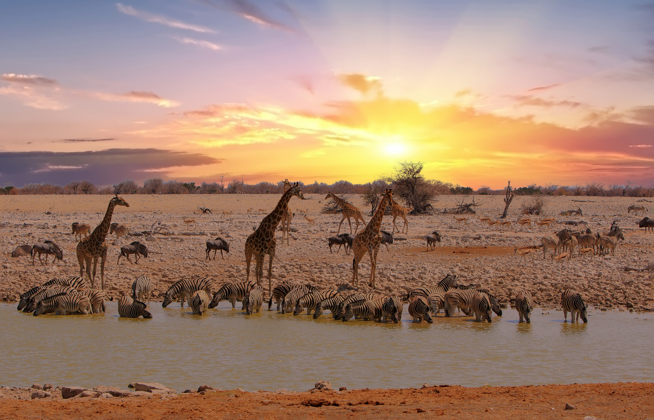 Namibia