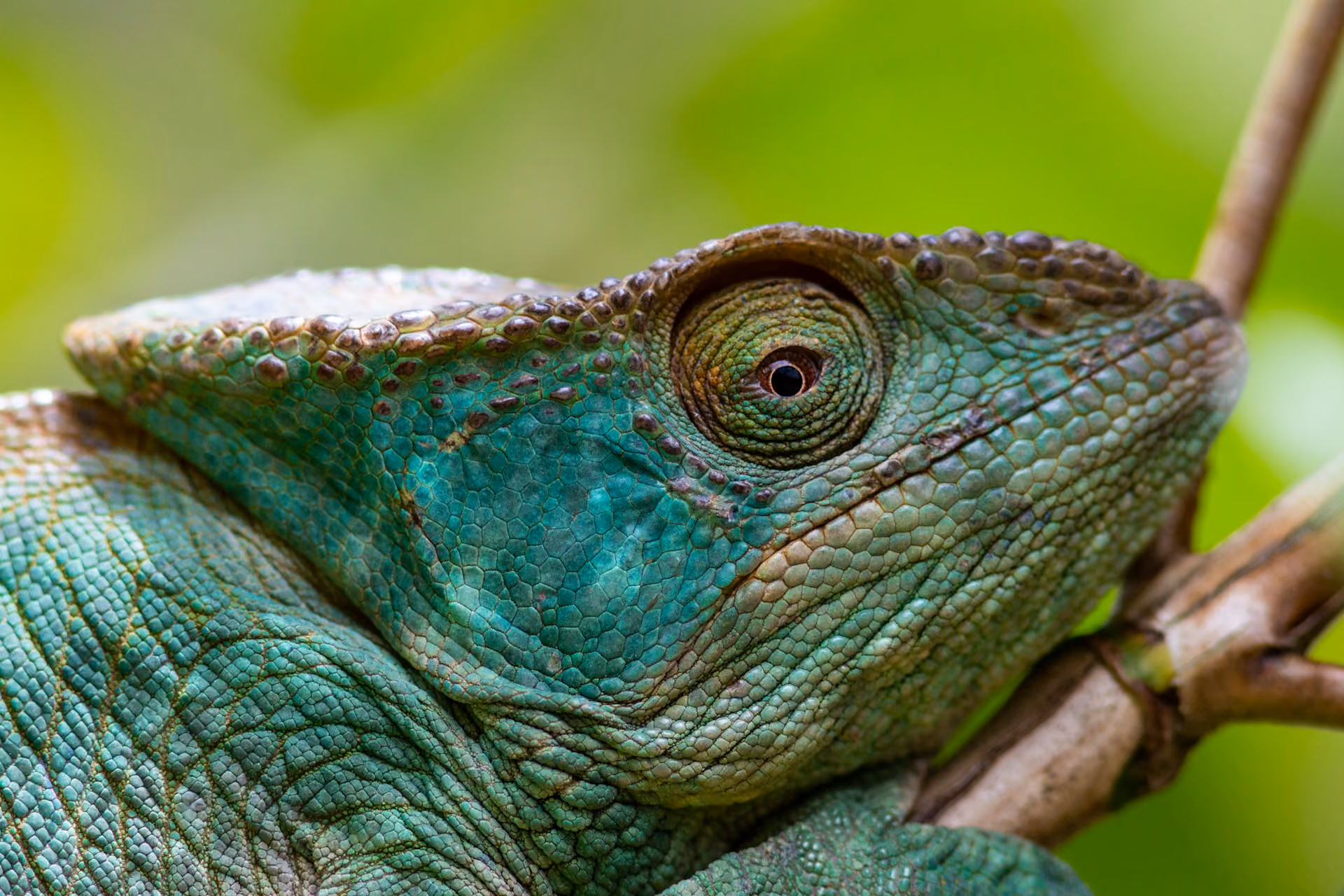 Wann ist die beste Reisezeit für Madagaskar?