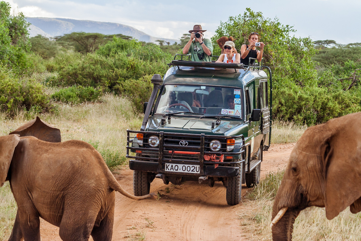 Rundreise Afrika: Die 4 schönsten Routen & Bestseller