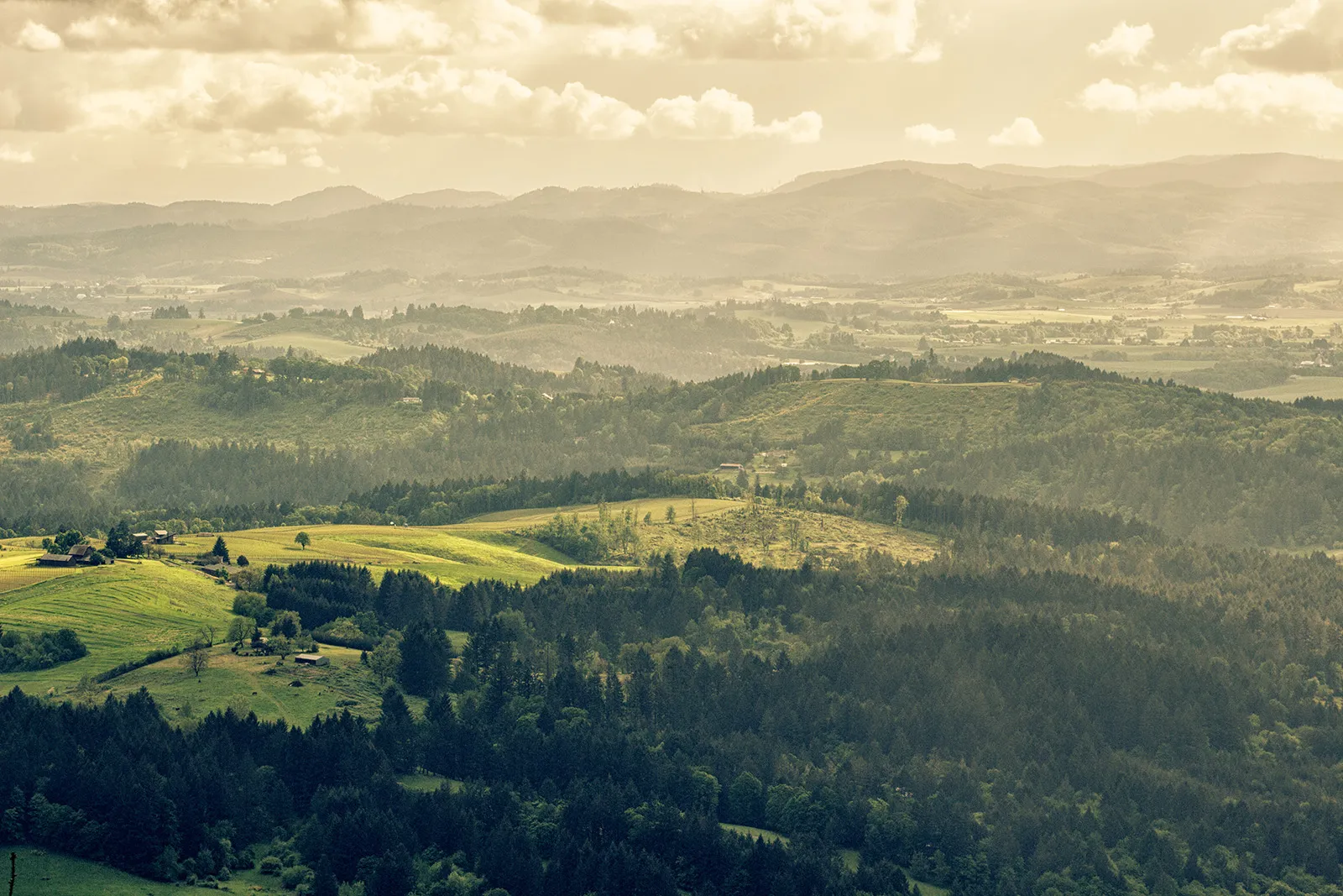 Expansive view of rolling green hills and dense forests under a cloudy sky with distant mountains.