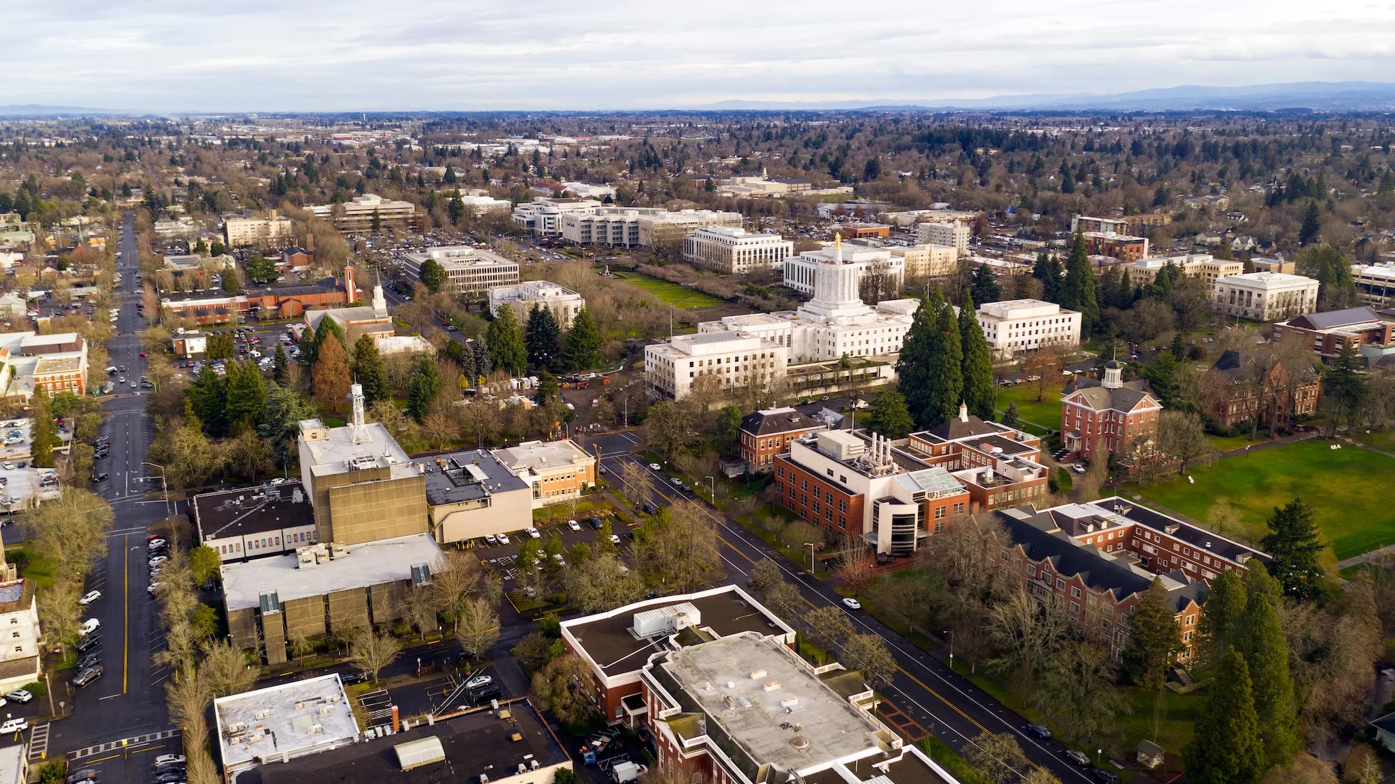 Aerial view of a city with multiple buildings, streets, and green spaces under a cloudy sky.