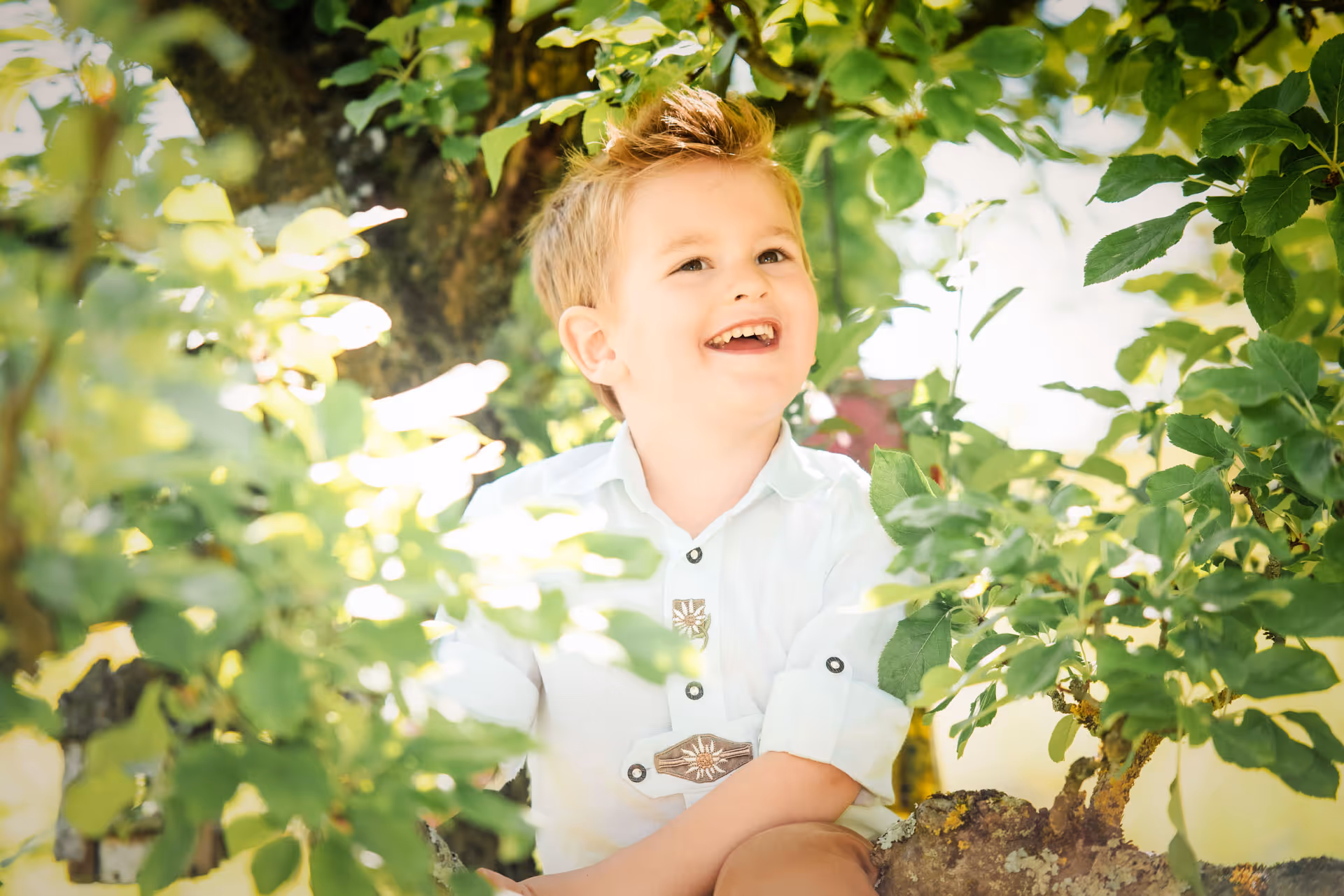 Kinderfoto draußen im Baum in Augsburg