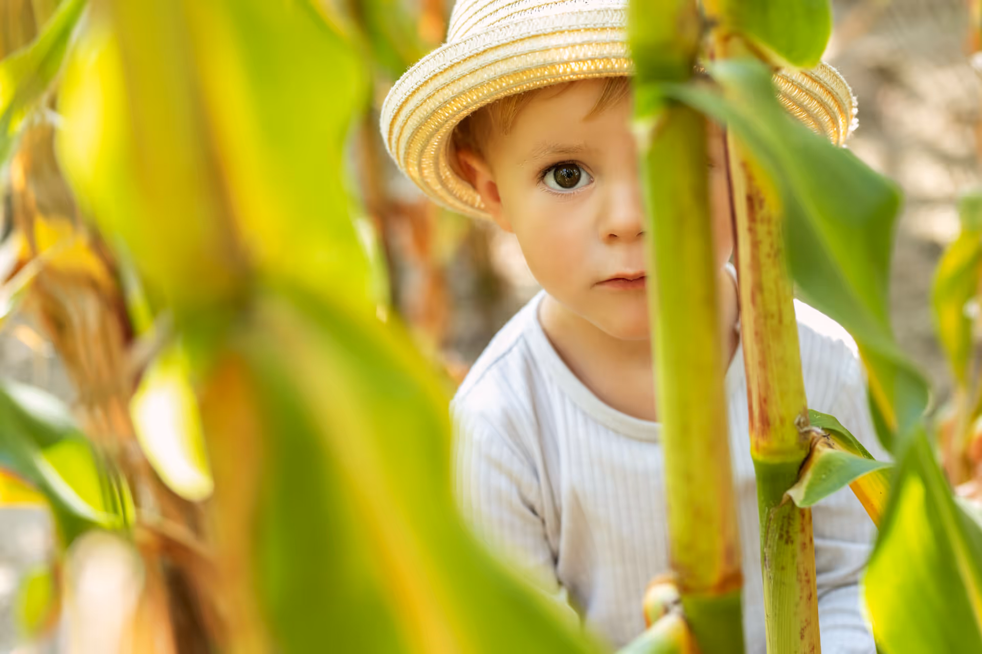 Junge versteckt sich im Feld für das Fotoshooting - Kinderfotografie Natalia Günsche