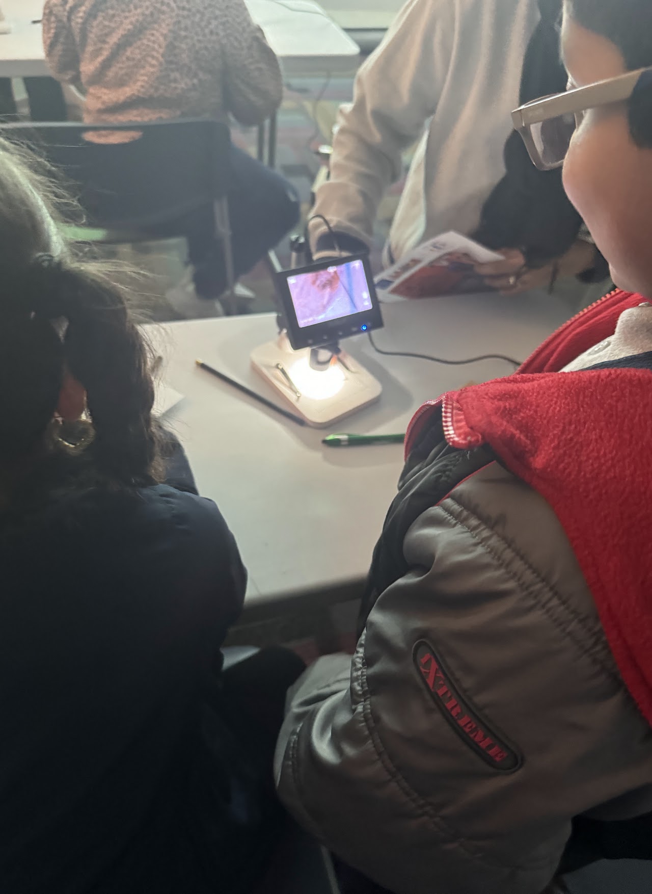 image of the organization in action