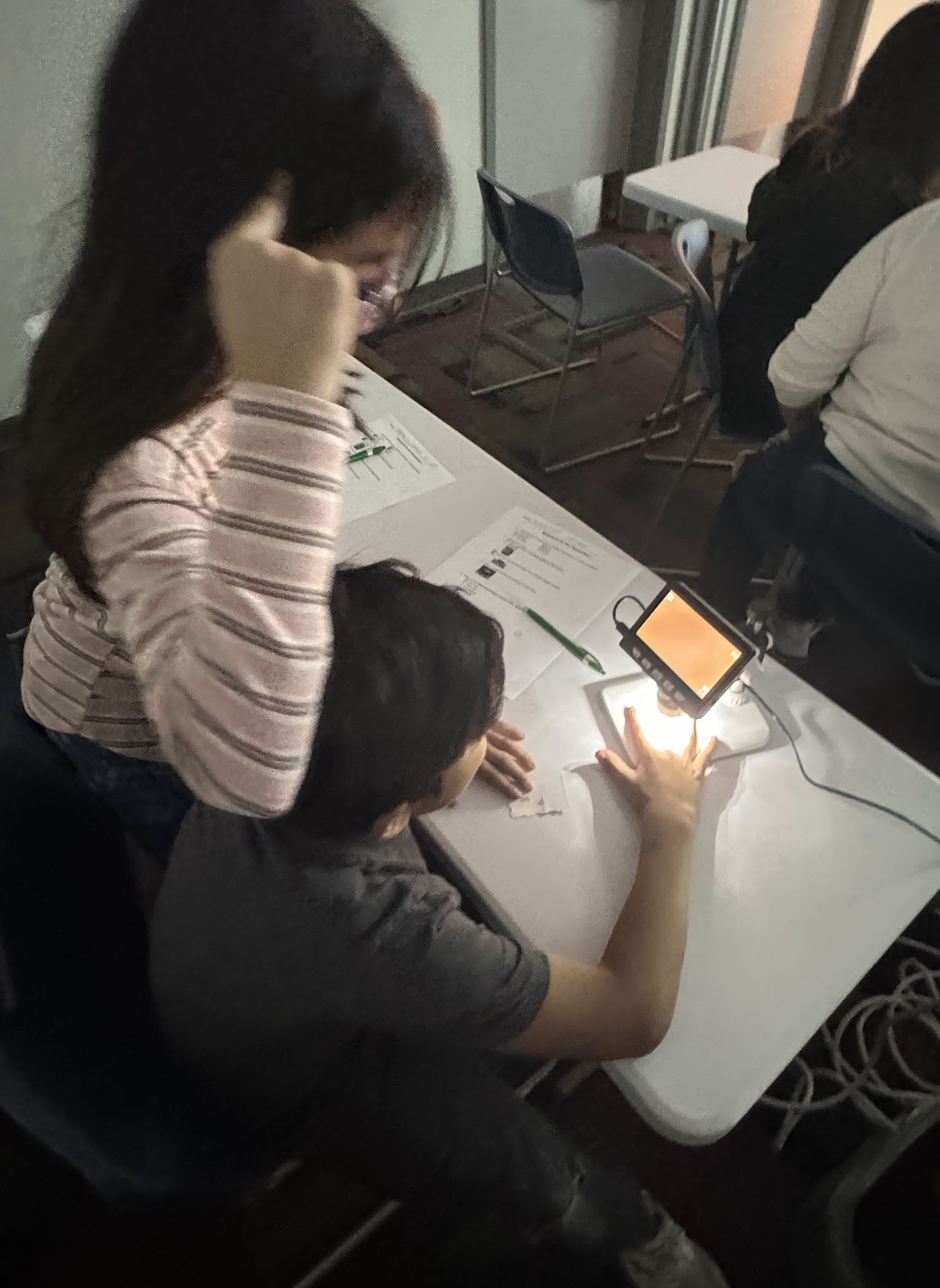 image of the organization in action