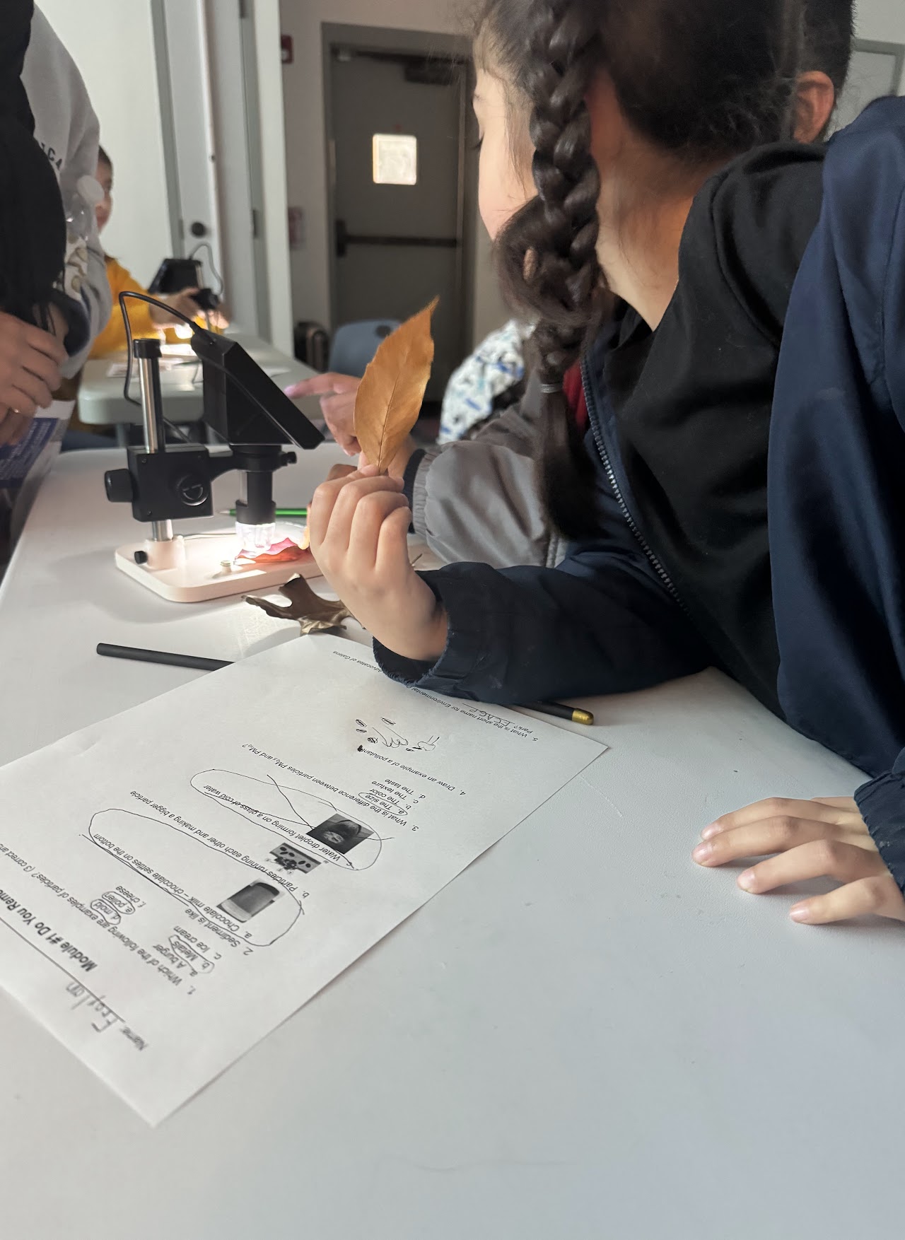 image of the organization in action