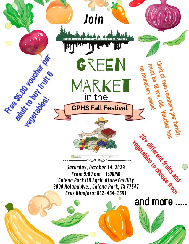 image of the organization in action