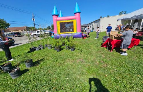 image of the organization in action