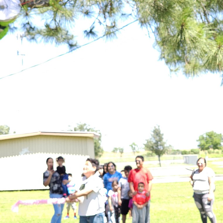 image of the organization in action