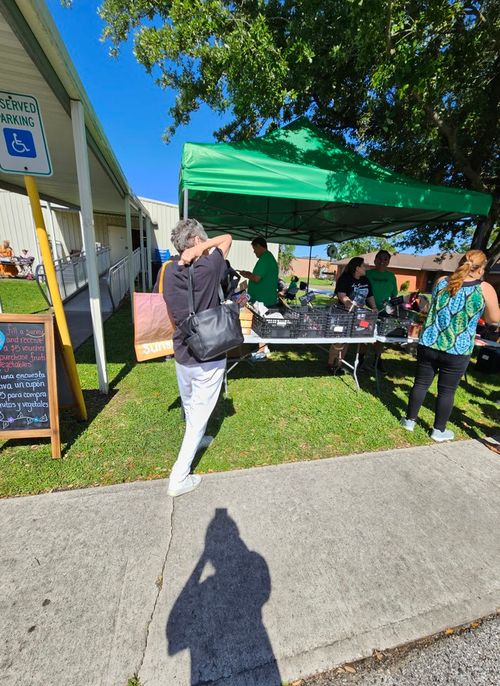 image of the organization in action