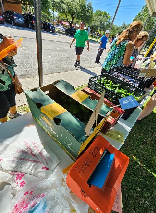 image of the organization in action